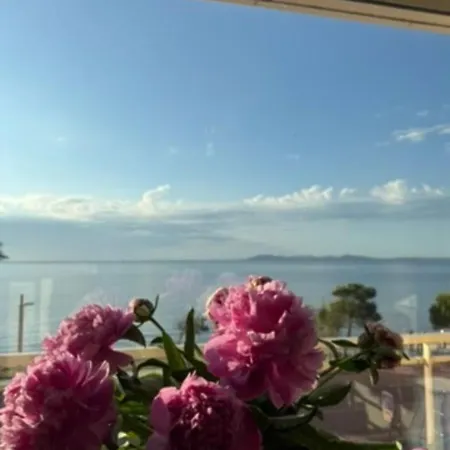 Chez Jo Duplex Terrasse Vue * Hyères