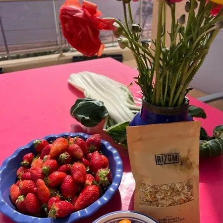 Apartamento Chez Jo Duplex Terrasse Vue Hyères